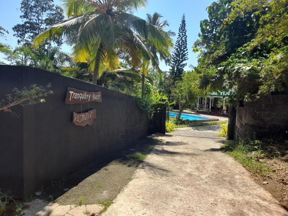 היקדואה Tranquility Guest House מראה חיצוני תמונה