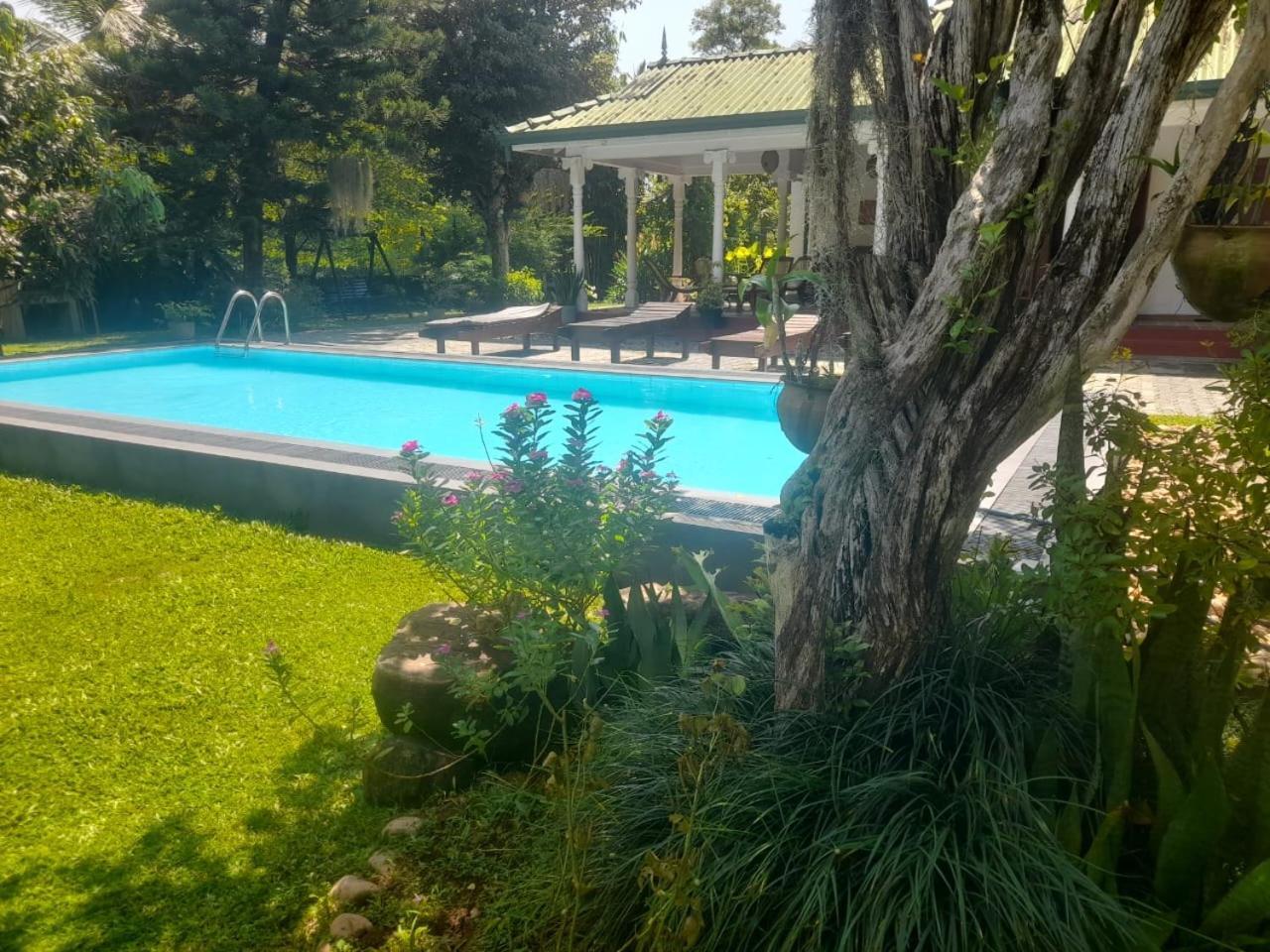 היקדואה Tranquility Guest House מראה חיצוני תמונה