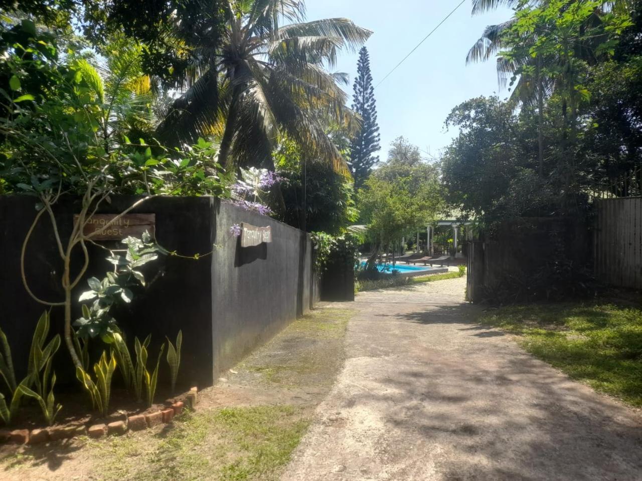היקדואה Tranquility Guest House מראה חיצוני תמונה