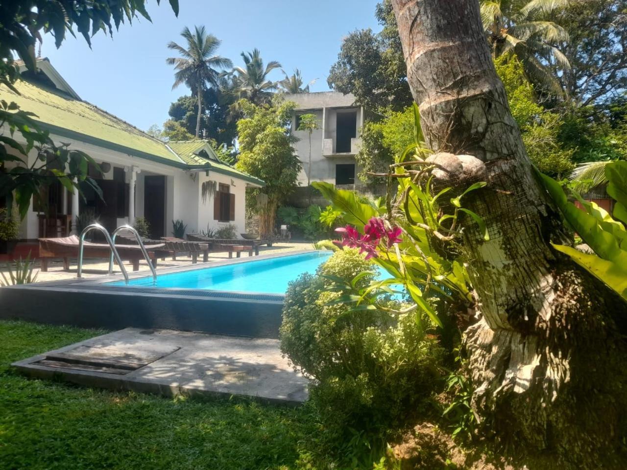 היקדואה Tranquility Guest House מראה חיצוני תמונה