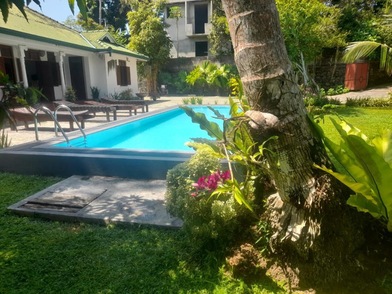 היקדואה Tranquility Guest House מראה חיצוני תמונה